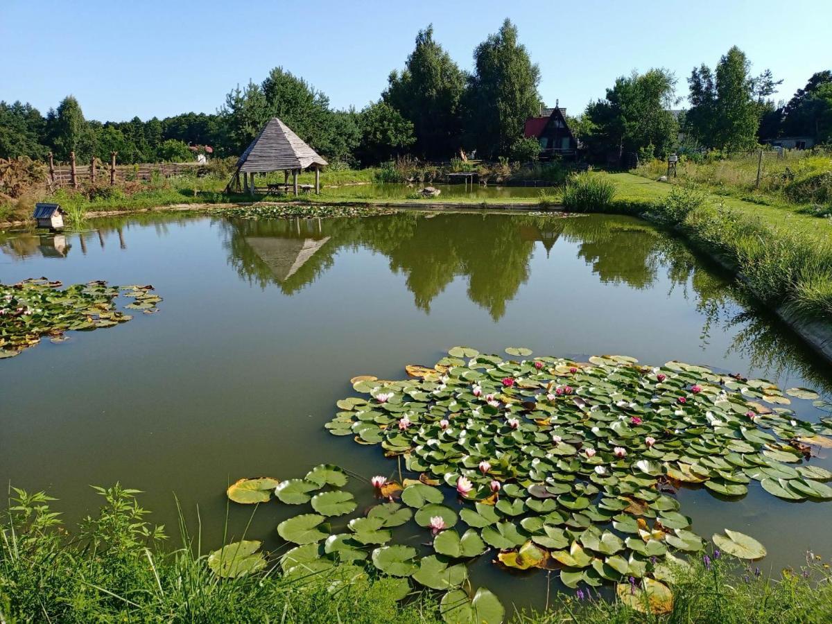 Noclegi U Janusza Zalesie  Exteriér fotografie